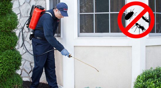 Orta Fare İlaçlama böcek ilaçlama ve haşere kontrolü — ilaclama-tr.com